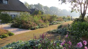 Long Border with flowering Anemone and Persicaria