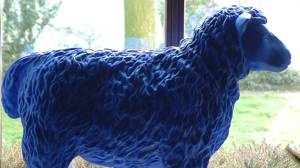 Blue Sheep from Rainer Bonk at windowsill