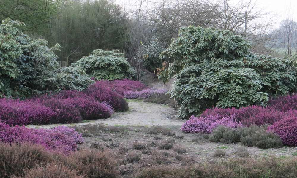 disguise-awkward-form Viller the Garden photo: Frank Fritschy